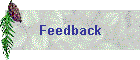 Feedback