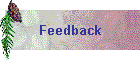 Feedback